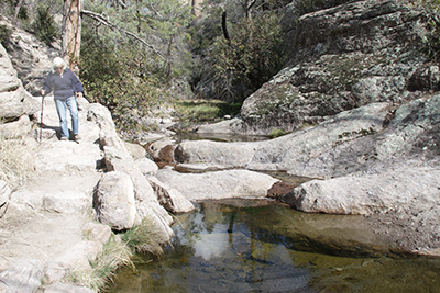 Debby on the Trail